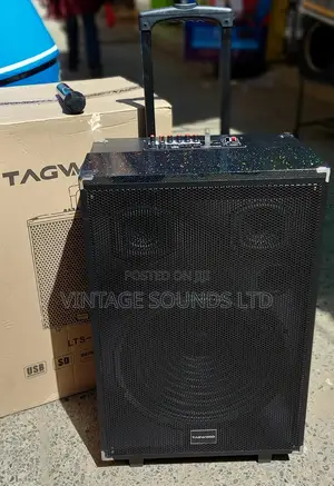 15inche Portable Powered Speakers