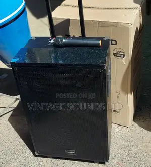15inche Portable Powered Speakers