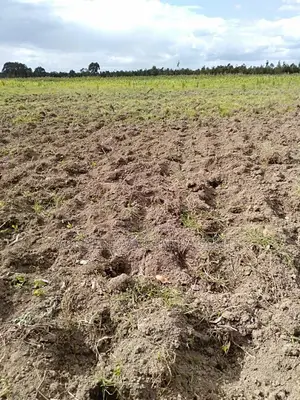 Land On Sale At Munyaka Kinangop
