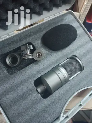 Takister Sm 8b Studio Microphone