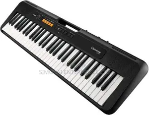Cts-S100 Casiotone Keyboards
