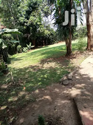 Prime 1/2 An Acre At Ruaka Shopping Center For Sale Red So