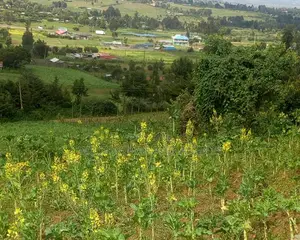Land On Sale At Ihindu Naivasha