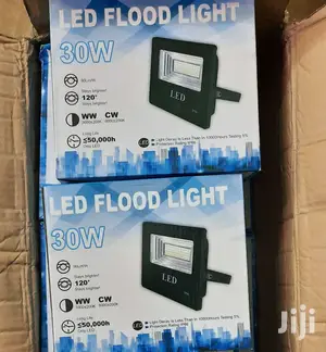 Flood Light 30w