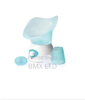 Nano Facial Steamer.
