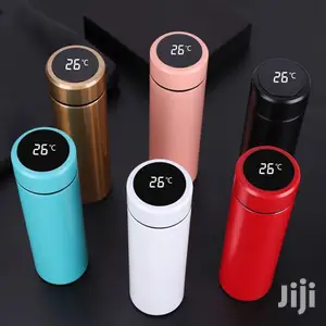 Vacuum Flask With Temperature Display