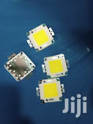 50 Watts Floodlight Bulbs