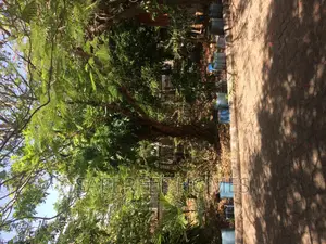 1/4 Acre for Sale in Greenwood Drive Nyali
