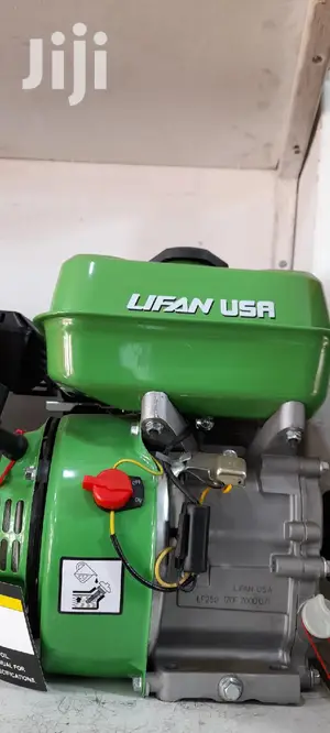 Lifan Usa Petrol Engine Machine 5hp