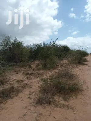For Sale 170 Acres Agricultural Land Magarini