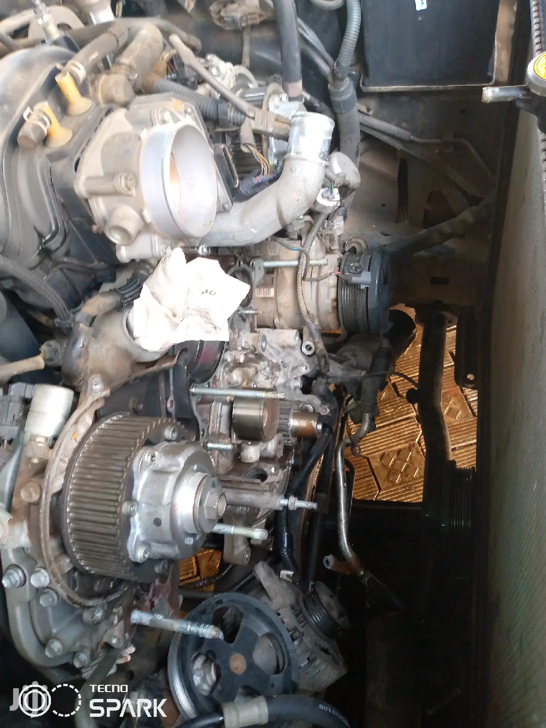 Professional Mechanic