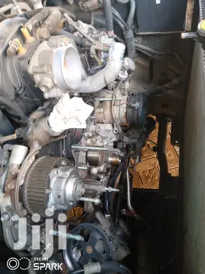 Professional Mechanic