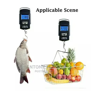 Highly Portable Digital Weighing Scale With Hook
