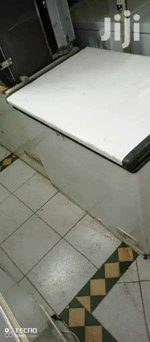 300L Freezer