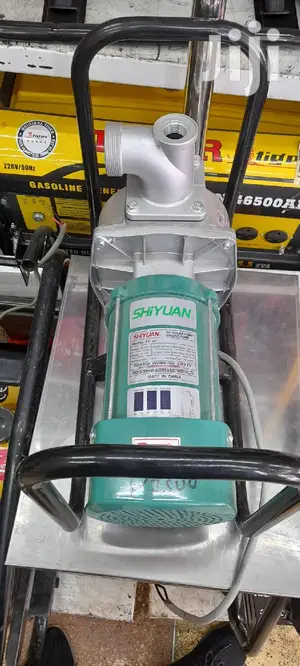 Solar Waterpump Generator Shiyuan DC 900w 2inch
