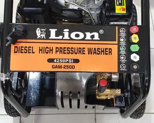 DIESEL High Pressure Washer Lion