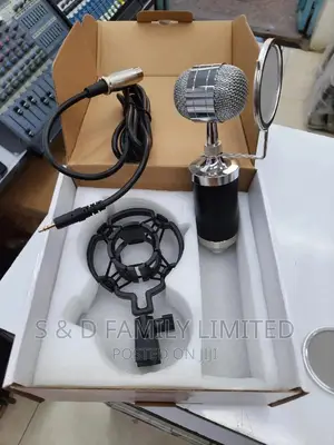 BM 800 Condenser Mic Studio Mini Set