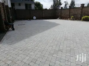 Ordinary High Quality Cabro/ Paving Blocks