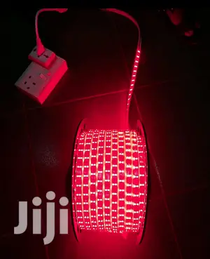 50 Meters Snake Light (Rope Light )