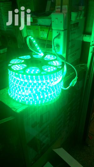 Snakelights / Gypsam Lights/ Strip Lights