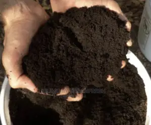 Vermicompost for Organic Farming