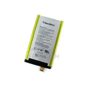 Blackberry Battery - Silver and Yellow