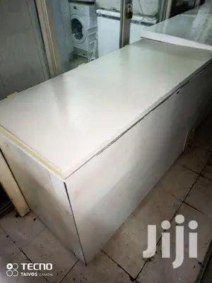 Big Freezer 550L