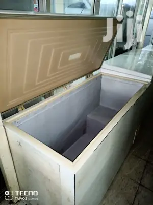 Big Freezer 550L