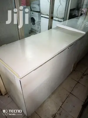 Big Freezer 550L