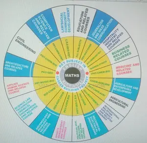 4ftx4ft Wall Mounted Career Wheel