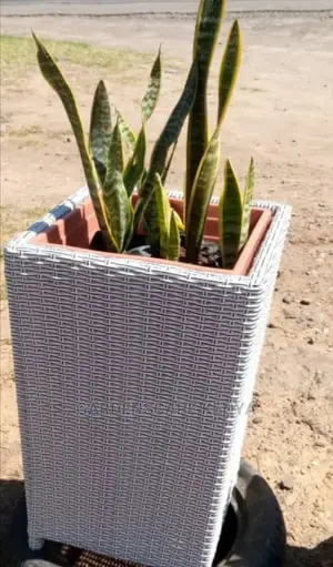 Single Rattan Flower Vase