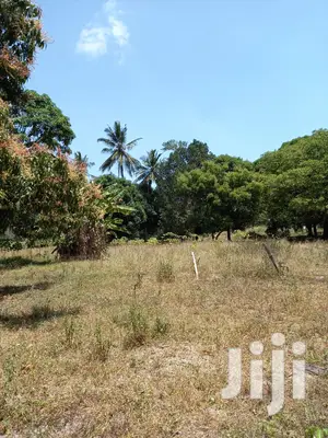 For Sale 5 Acre Agricultural Land Kikambala