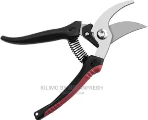 Secateurs : Prunners Cut and Hold Available.