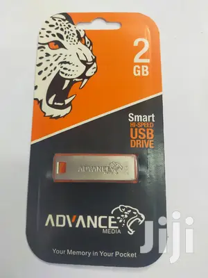 Hi-speed Usb Drive 2gb