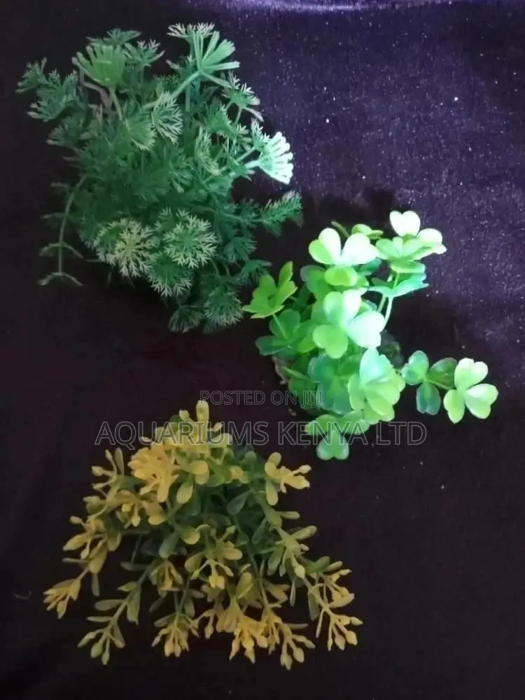 Aquarium Accessories, Plants .