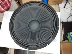 5 Core 15 Inch Naked Speaker