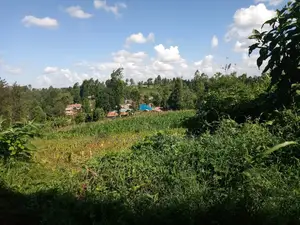 Prime 0.5 Acres for Sale Is in Karura Kanyungu- Kiambu