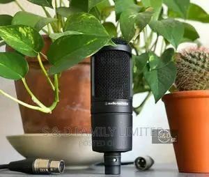 Audio Technica AT2020