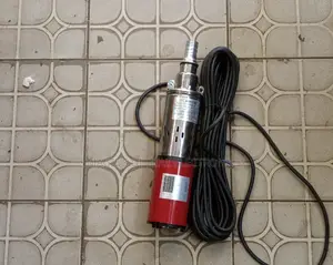 Solar Submersible Pump