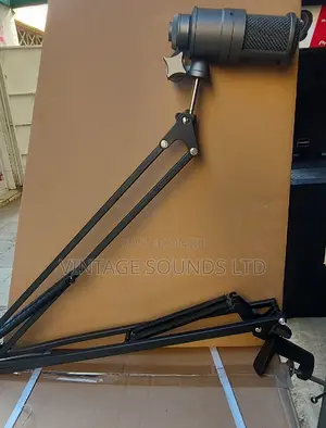 Takstar Sm8b Professional Condenser Microphone.
