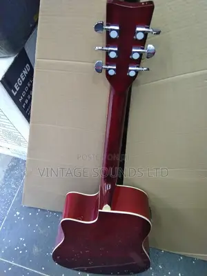 Fender Semi Electric Guitar