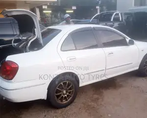 Car Paint Work