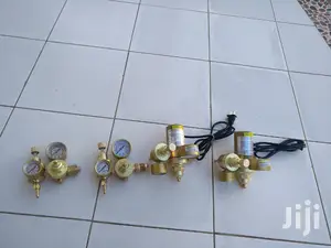 Co2 Gas Regulator 36V AC