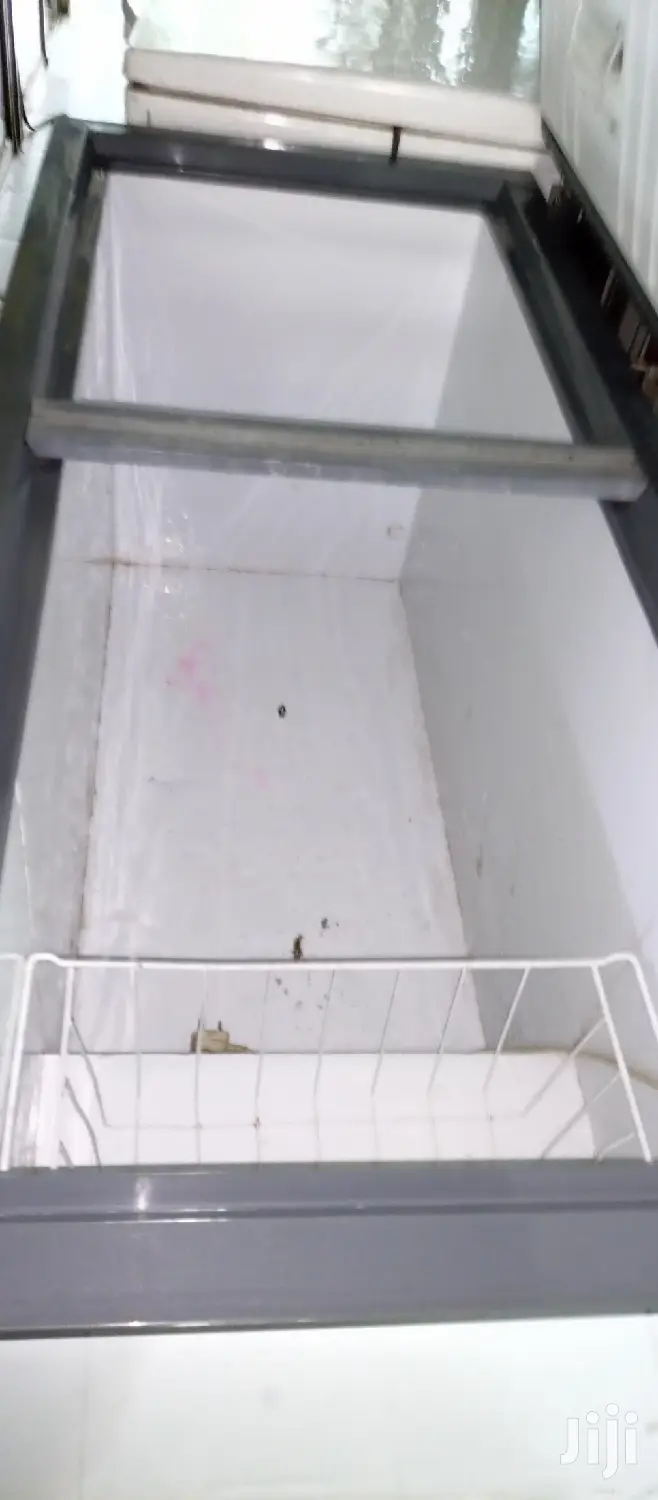Double Door Freezer