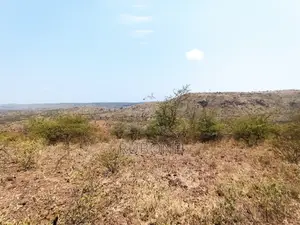 100 Acres Ngong, Tinga, Keekonyokie/Ilkisumet