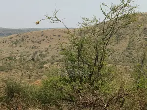 100 Acres Ngong, Tinga, Keekonyokie/Ilkisumet