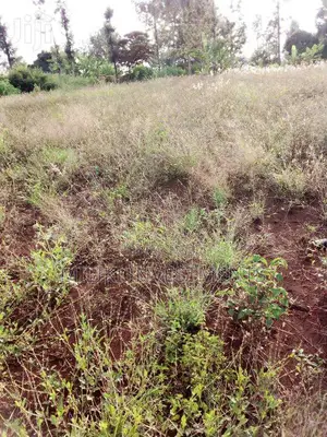 40 by 80 Plot for Sale at Murang'A