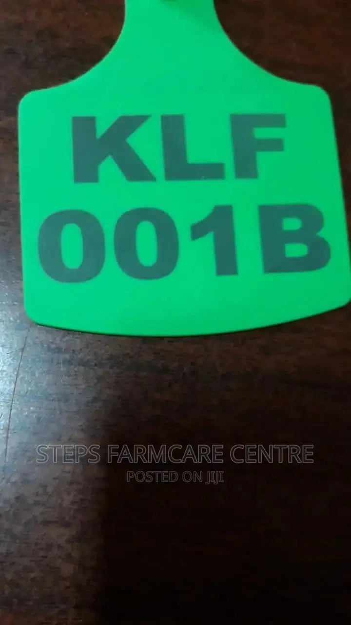 Customized Animal Ear Tags