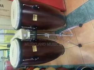 Conga Drums High