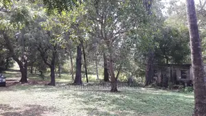 A Parcel of 4.5 Acres Beach Plot on Sale